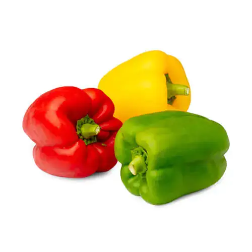 Capsicum Mixed 3 Color 500g Jordan